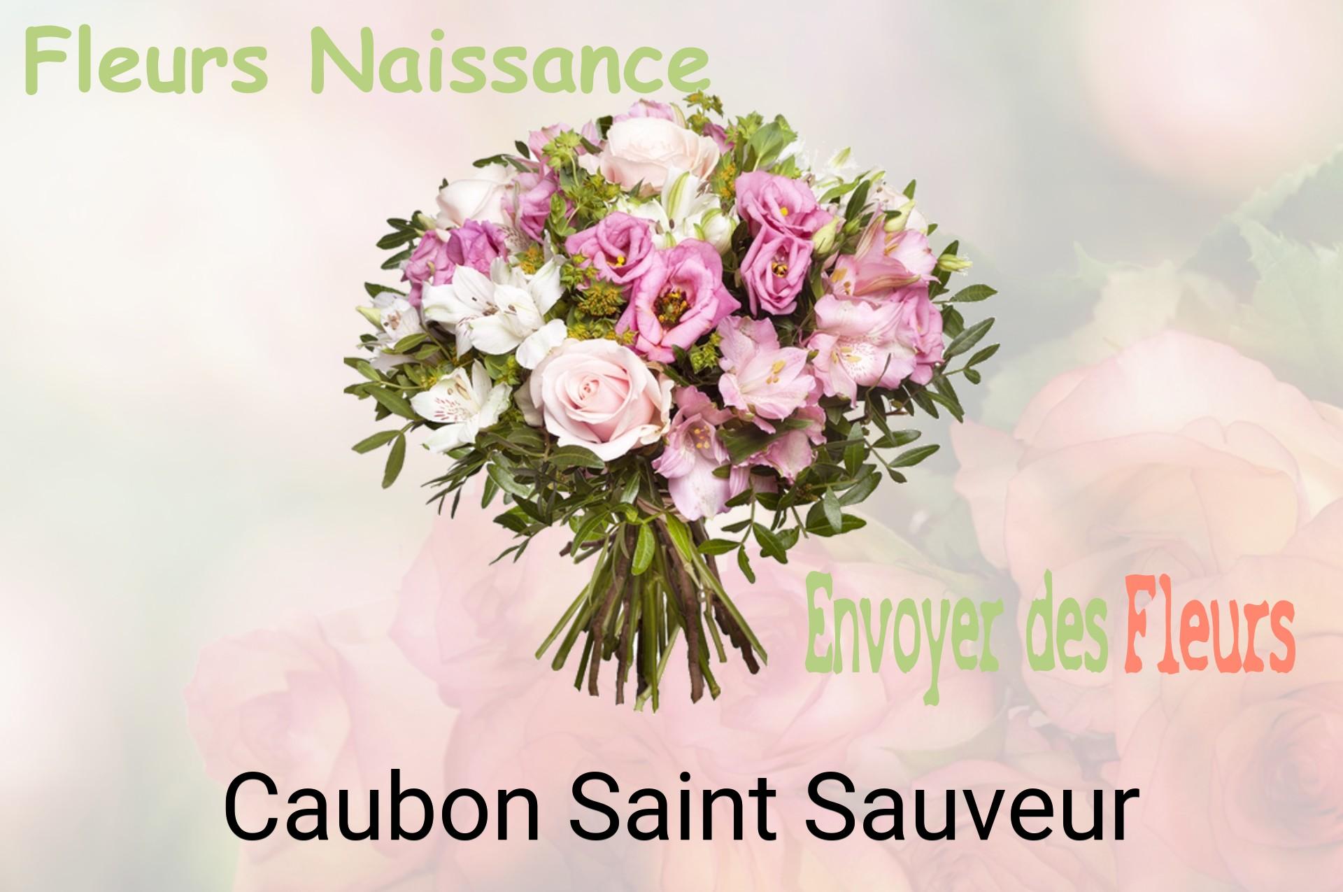 Bouquet de fleurs de naissance livré à Caubon-Saint-Sauveur