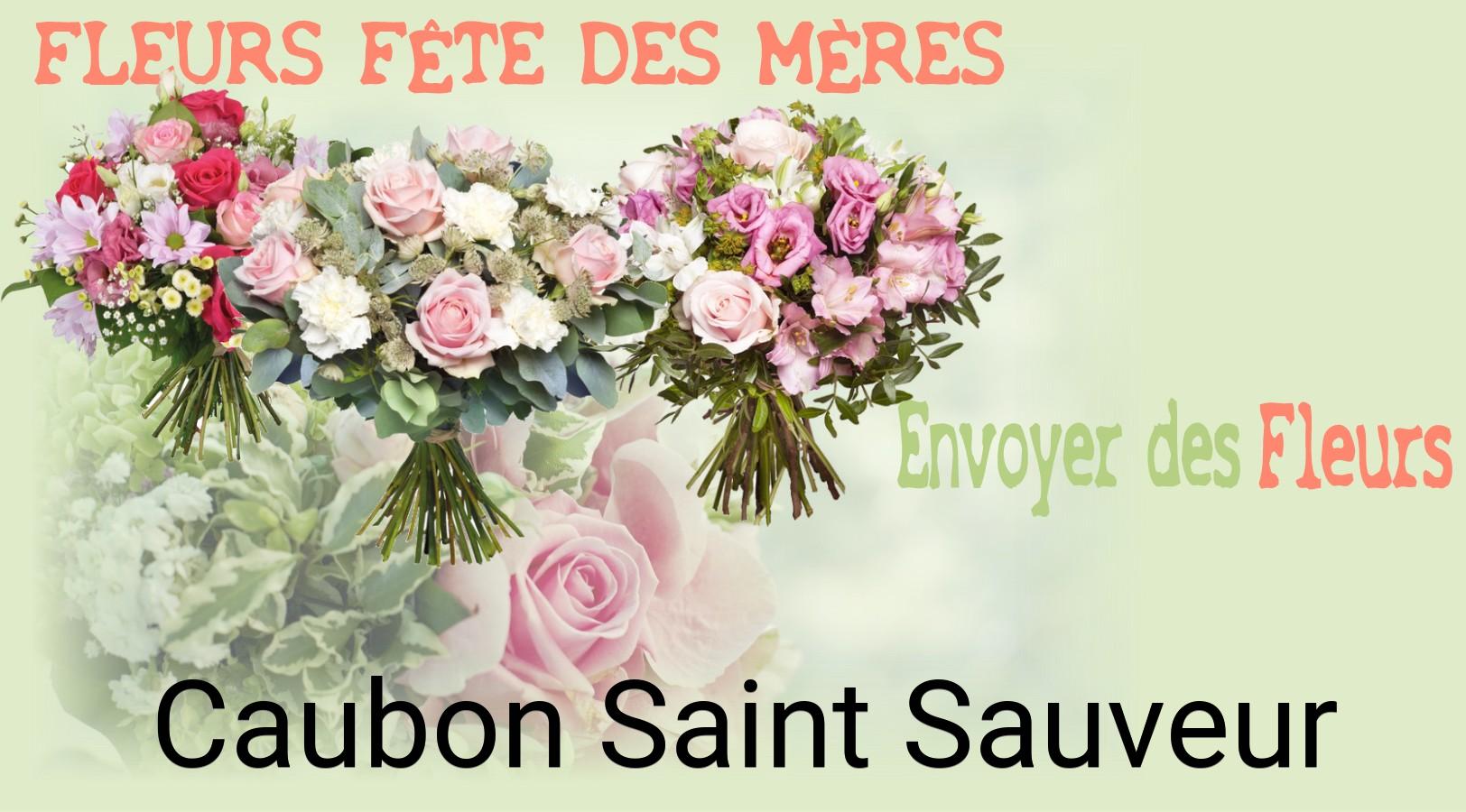 Bouquet de Fête des Mères livré à Caubon-Saint-Sauveur